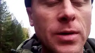 Мысли вслух...