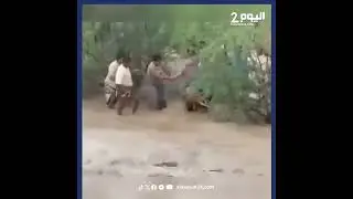 لحظات من الترقب والأمل: صور حصرية لعملية الإنقاذ التي هزت مشاعر اليمنيين في حيس