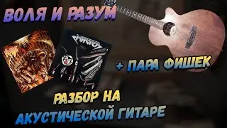 Воля и Разум на Акустической гитаре