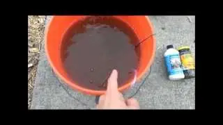 Compost Tea recipe and use