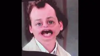 Bobchat