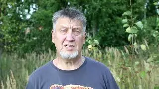 Её другие руки обнимали