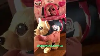 Собачка Кики в сумке мягкая игрушка поёт песенку