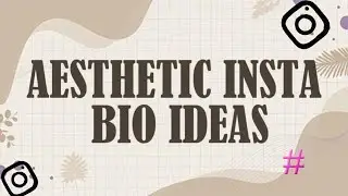 Aesthetic Insta Bio Ideas for Everyone in 2024