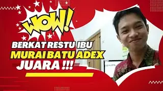 BERKAT RESTU IBU MURAI BATU ADEX JUARA ‼️