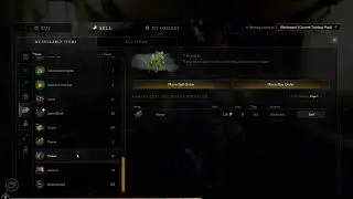 New World LVL 22 Questing