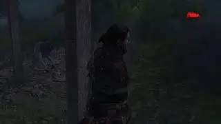 I think the wolf is broken - Assassin's Creed Rogue Remastered | Bugs and Glitches