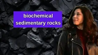 biochemical sedimentary rocks - formation and properties of biochemical sedimentary rocks