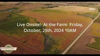 142.75 Acres of Nobles County Farmland!
