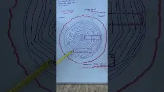 How do you install your Decking boards? Bark Side Up?…Bark Side Down?