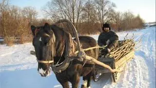 НАЛИВАЙ   КУМА         НАЛИВАЙ