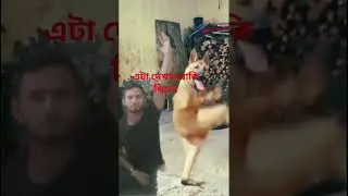 ২০২৫সালের নতুন  ডান্স 