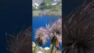 Загеданские озера