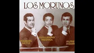 SIN UN AMOR     TRIO LOS MORUNOS