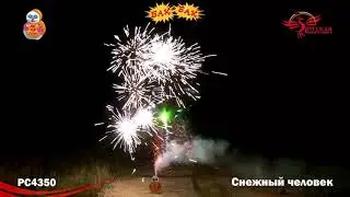 РС4350: Снежный человек