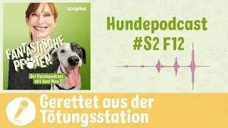 Hunde aus dem Ausland adoptieren: Von der Tötungsstation ins eigene Zuhause