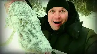 щуки таёжных рек Коми