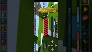trining pro but lose