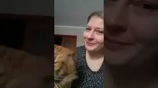 Мейн Кун. Кот Джокер.Любимочка любимый.