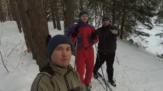 Ibresi January 2019 (Ибресинский лес, Январь 2019)