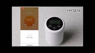 366 Radiator Room Thermostat
