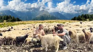 We climbed the Yaylak at a height of 4000 meters! A Day with Shepherds