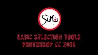 Photoshop Selection Tools 101
