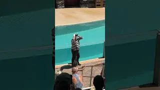 Can’t believe it 😳 famous mime seaworld tom #seaworldmime #funny #shorts #tomthemime