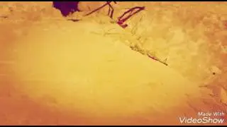 Прыжки на аргомаках