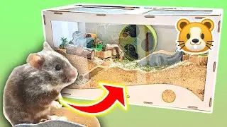 Hamster Käfig einrichten🐹  PimpmyHAMSTERKÄFIG 🎬 Artgerechte Hamsterhaltung 🐾 Eigener Shop ⚒️