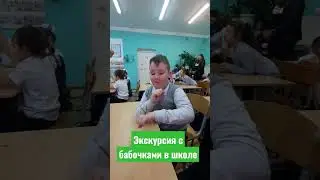 Тропические бабочки в школе 🦋