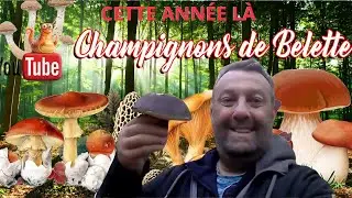 𝐂𝐄𝐓𝐓𝐄 𝐀𝐍𝐍É𝐄 𝐋À 𝐂È𝐏𝐄𝐒 ! , 𝟐𝟎𝟏𝟗 🌳🍄🌳 #mushroom #champignons #fungi #nature #forêts