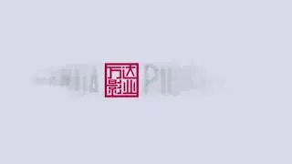 Wanda Pictures Logo Reversed