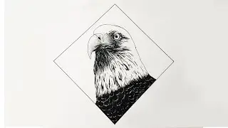 Kolay Kartal Çizimi - Easy Eagle Drawing - Pen and Ink - Mürekkepli Kalem