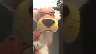 No No No No No! Puppeteering Chester Cheetah