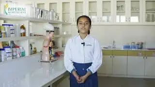 Revolution of Earth l Imperial Educational Video