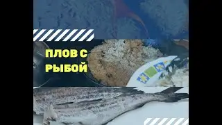 Плов с рыбой