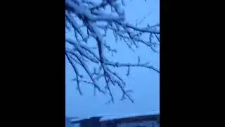 Тверскую область  завалило снегом.