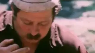 Поели грибочков