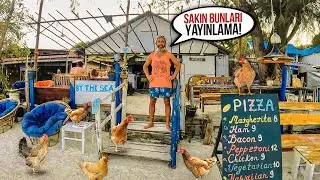 Turks Opening a Pizza Place on a Tropical Island 🇰🇭