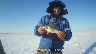 Чаны  Амелькина грива  Весна 21 03 2019