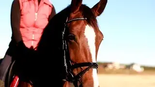 Equestrianism: K&K passionate day