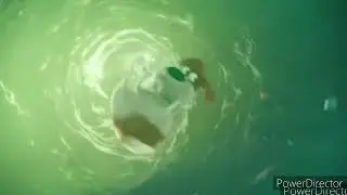 the secret life of pets underwater scenes part 1 (sewer) beating