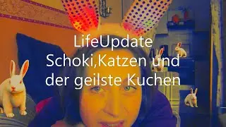 Update: Schokolade, Katzen und geiler Kuchen🍫🍰😺