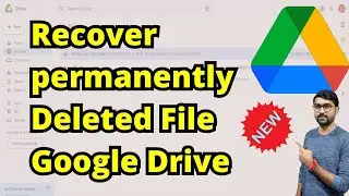 Recover Deleted Data From Google Drive | How To Recover Permanently Deleted Files From Google Drive