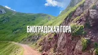 Biogradska gora/ Биоградская гора - парк