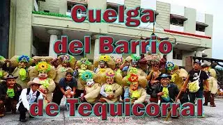 CUELGA DEL BARRIO DE TEQUICORRAL De La Virgen De La Natividad|AbrahamNava01