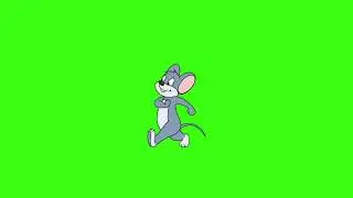 Green screen | Mouse goes | Animation | Footage | Download | №69