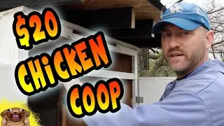 Build a Chicken Coop for $20!!!