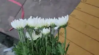 67.770